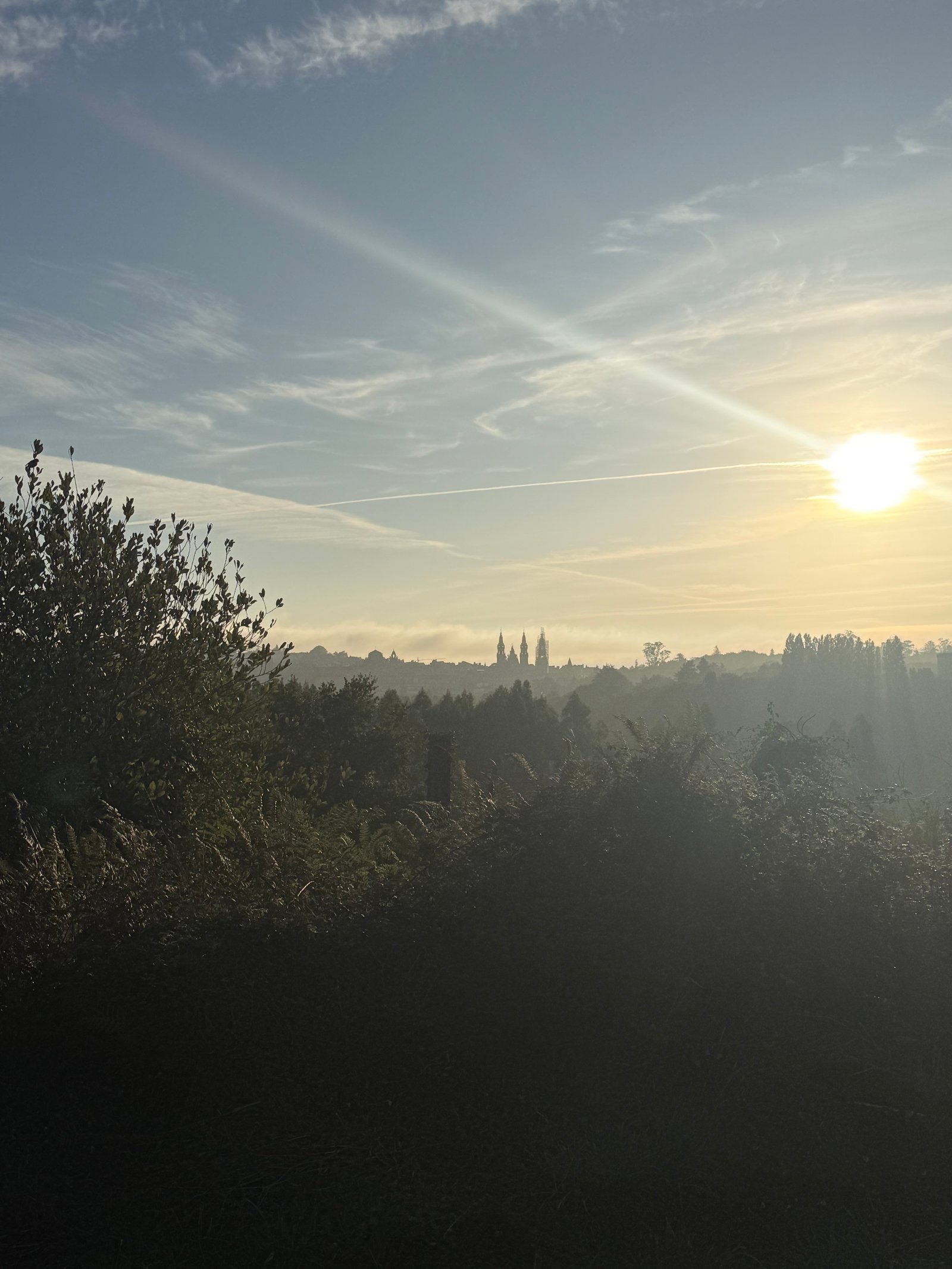 Buen Camino día 1